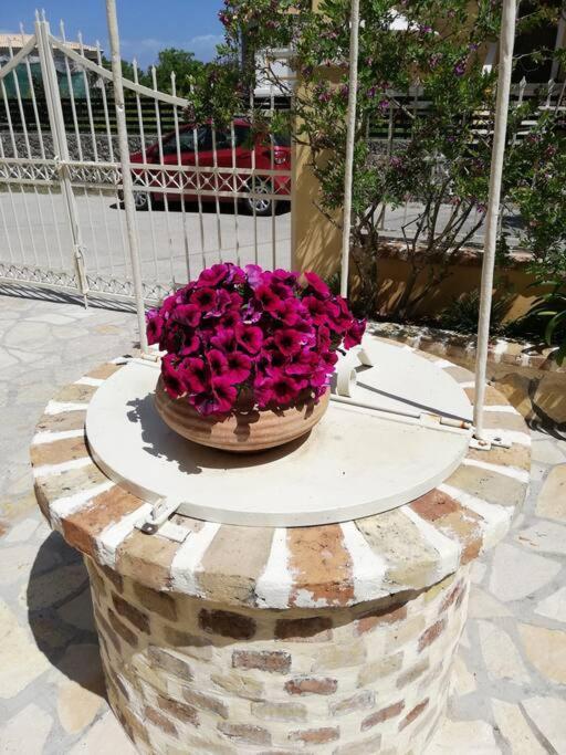 Apartment Sunny Furnished In Kanoni (Corfu)