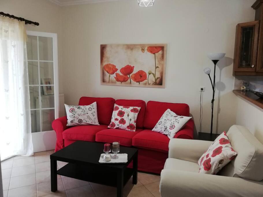 Sunny Furnished In Appartement