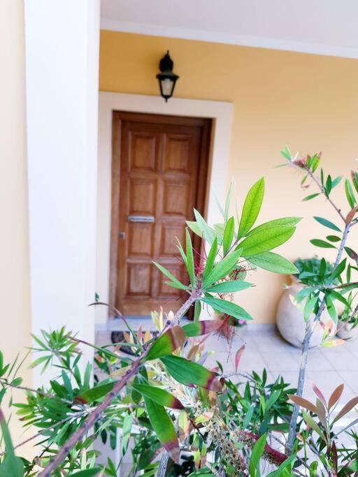 Sunny Furnished In