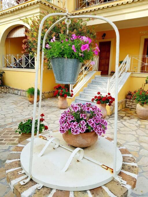 Sunny Furnished In